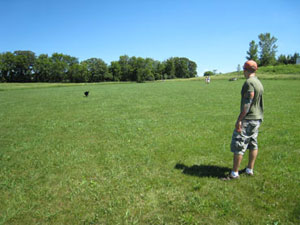 Dale Road Open Space and Off-Leash Dog Park