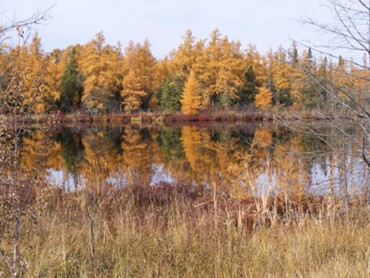 Lake Mille Lacs