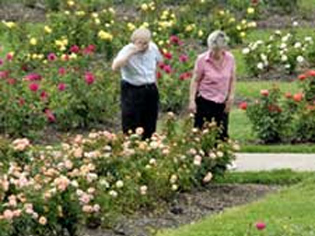 Best Botanical Gardens In Minnesota Wcco Cbs Minnesota
