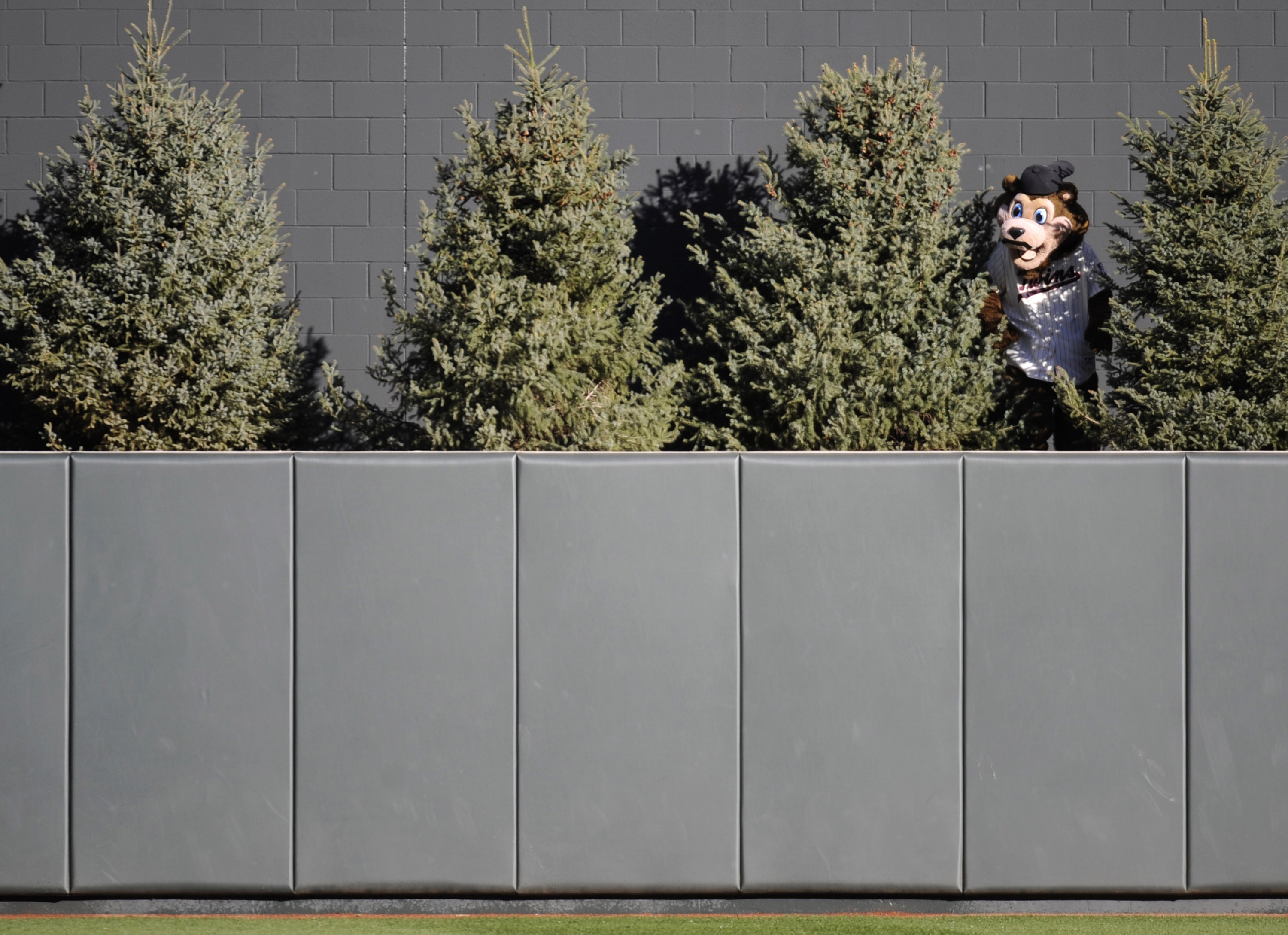 Trees In Batter's Eye Area At Target Field Removed – WCCO | CBS ...
