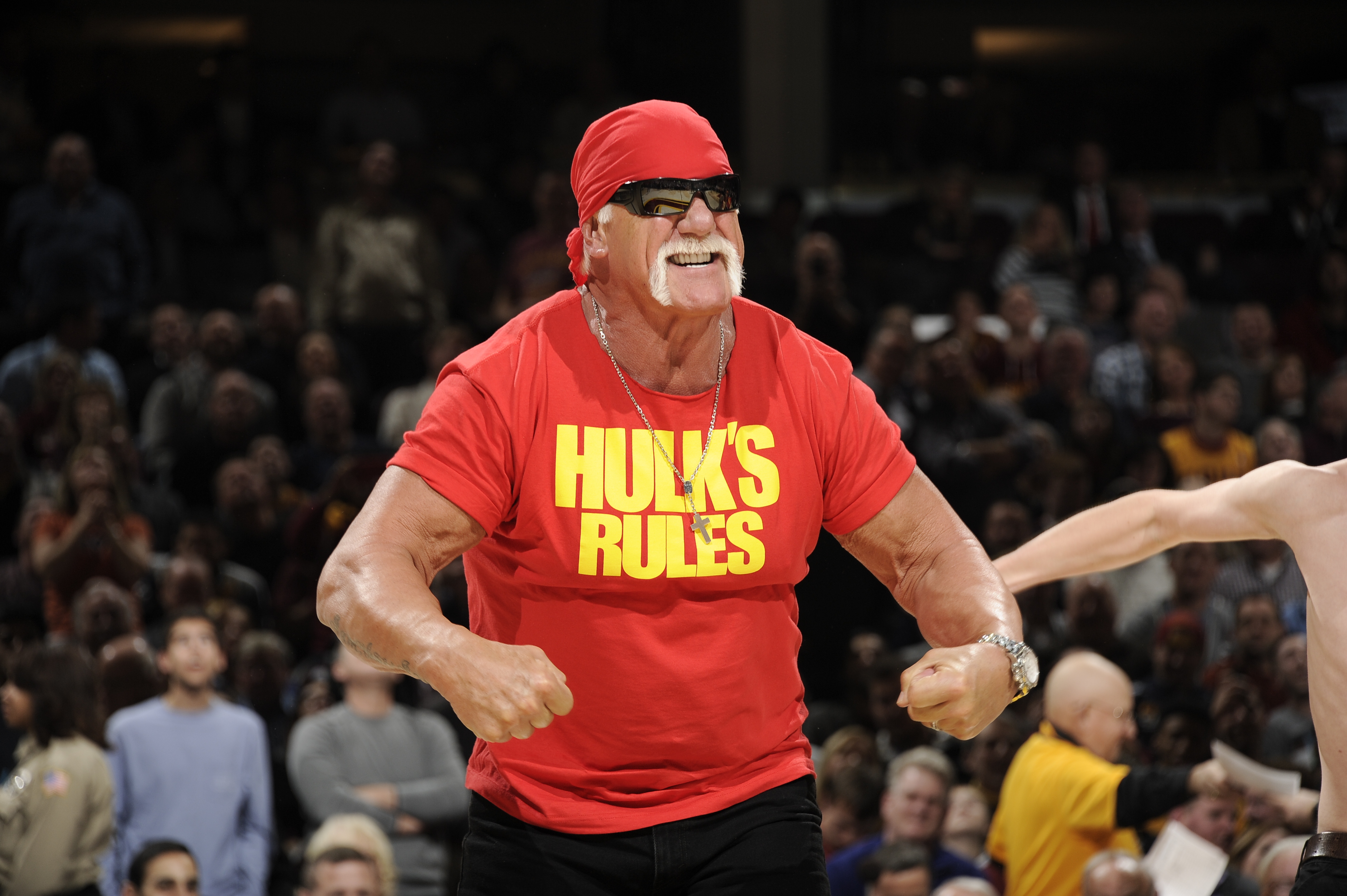 Hulk Hogan Is Getting Duped On Twitter.
