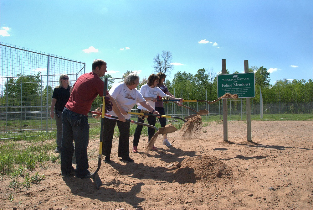 Breaking ground on new building site (credit: The Wildcat Sanctuary)