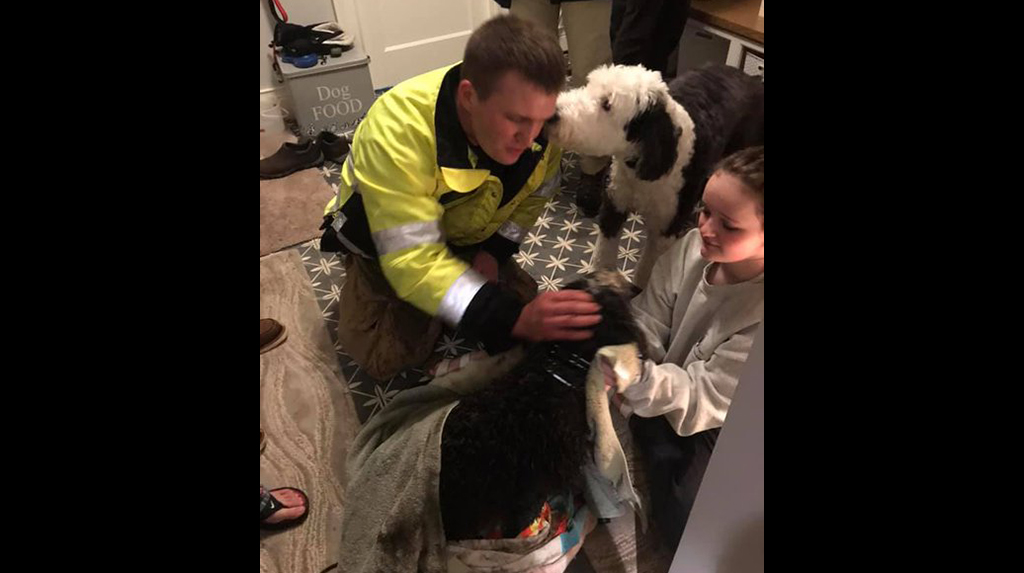 ‘Christmas Miracle’ Dog Rescued By Plymouth Fire Dept