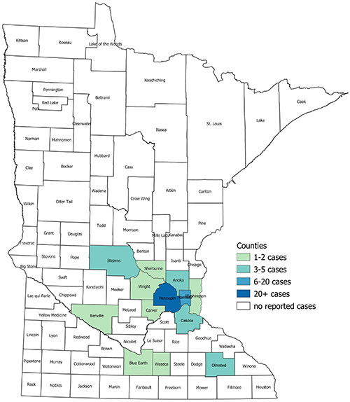 Coronavirus In Minnesota Number Of Covid 19 Cases Climbs To 54