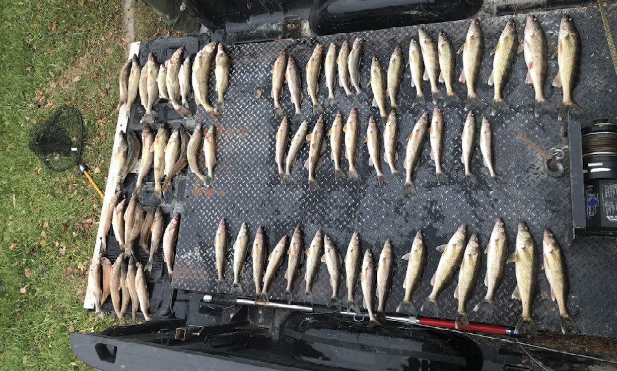 Minn. DNR: 4 Anglers Found With 48 Fish Over Legal Limit On Rainy River