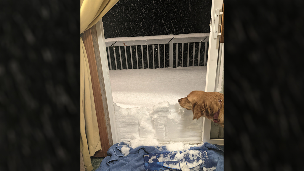 SNOW PICS: Minnesotans Send In Views Of The Post-Christmas Accumulation