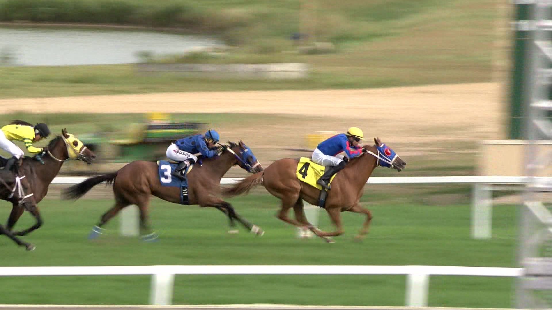 What Is Minnesota’s History With The Kentucky Derby? – WCCO
