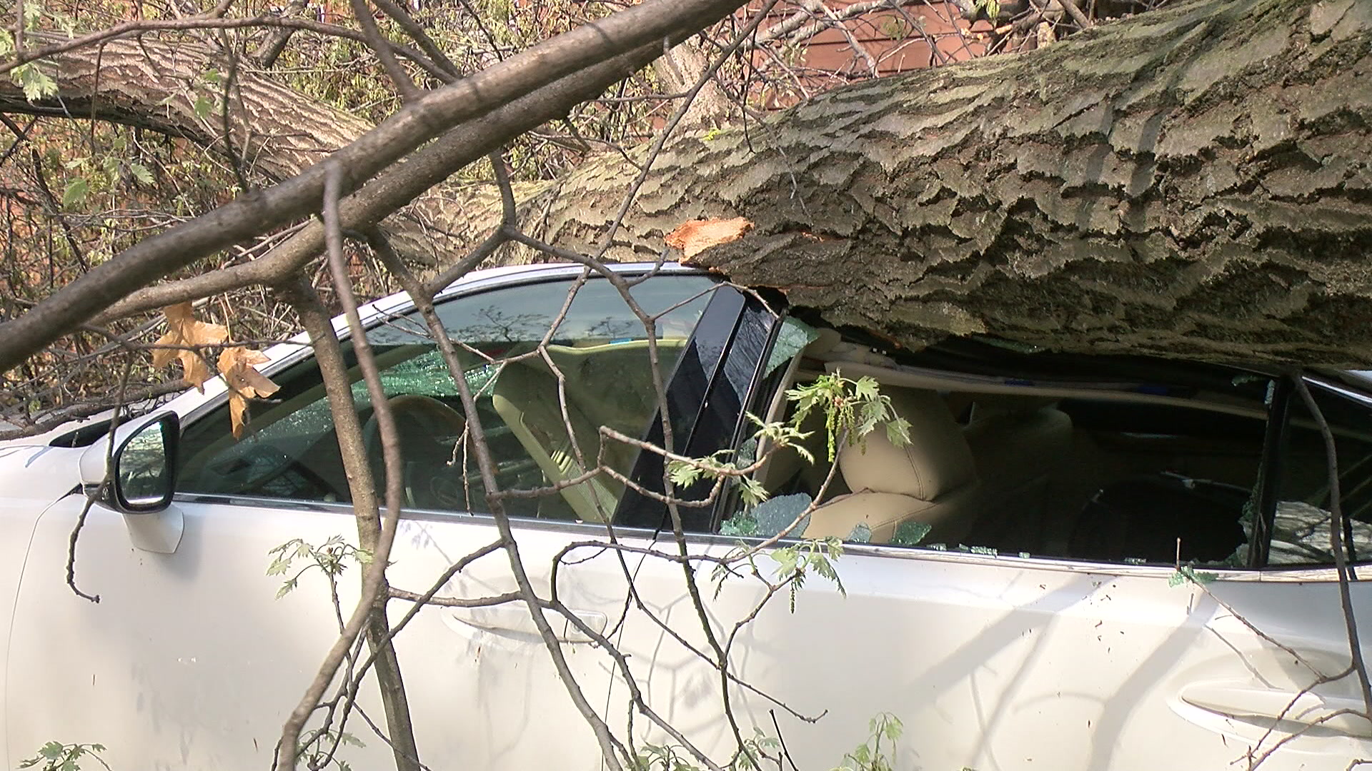 Metro Homeowners With Storm Damage And Debris Struggle To Find Help